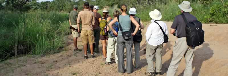 africa_serengeti_safaris_walking_safari_inside_park